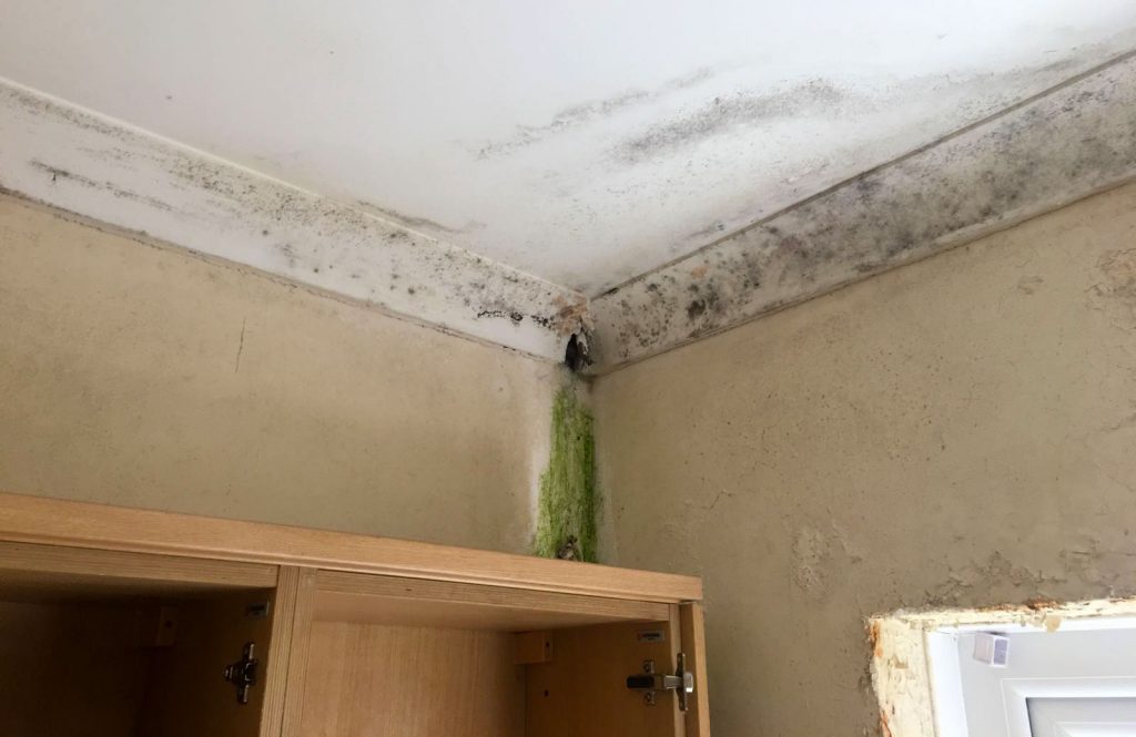 Cavity-Wall-Extraction
