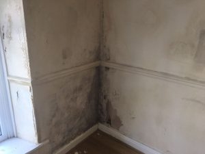 the effects of damp induced by cavity wall insulation