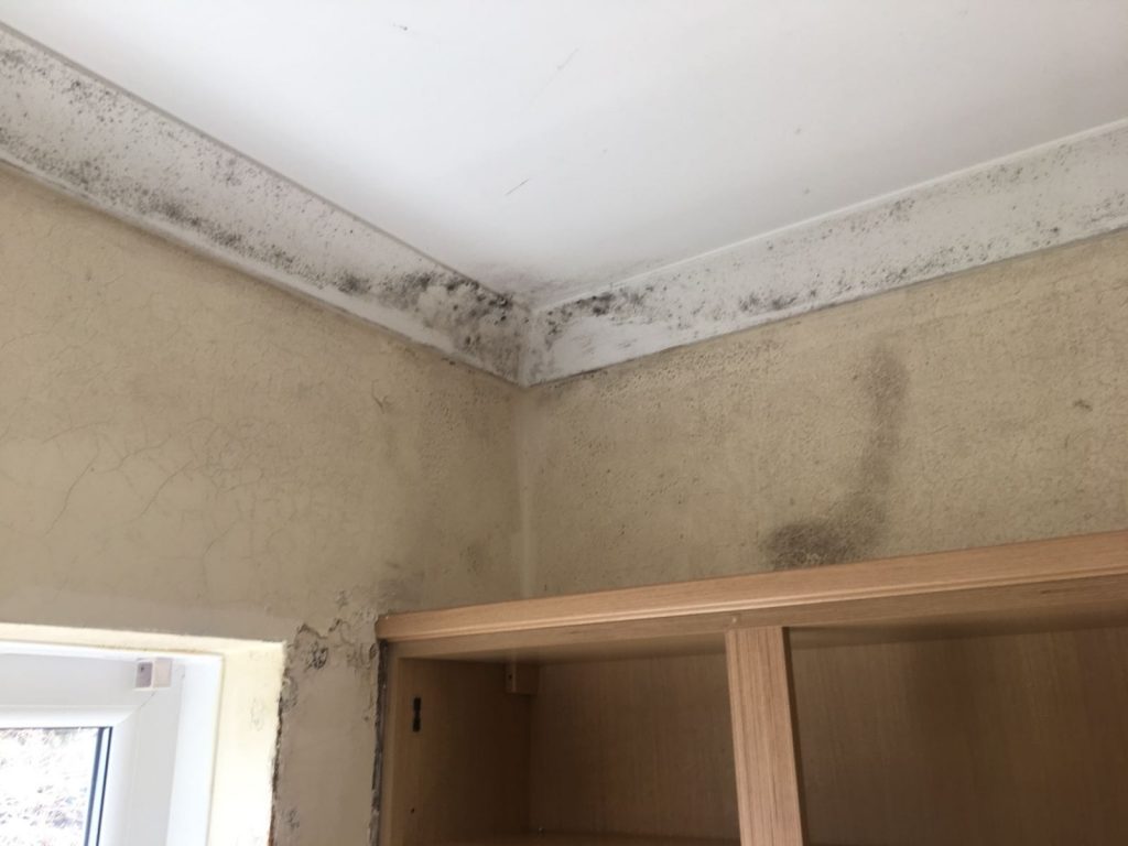 Black mould spreads in areas where water contact persists
