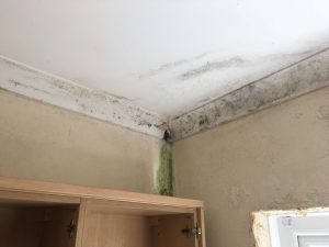 Even the ceiling has started to become mouldy as a result of failed cavity wall insulation